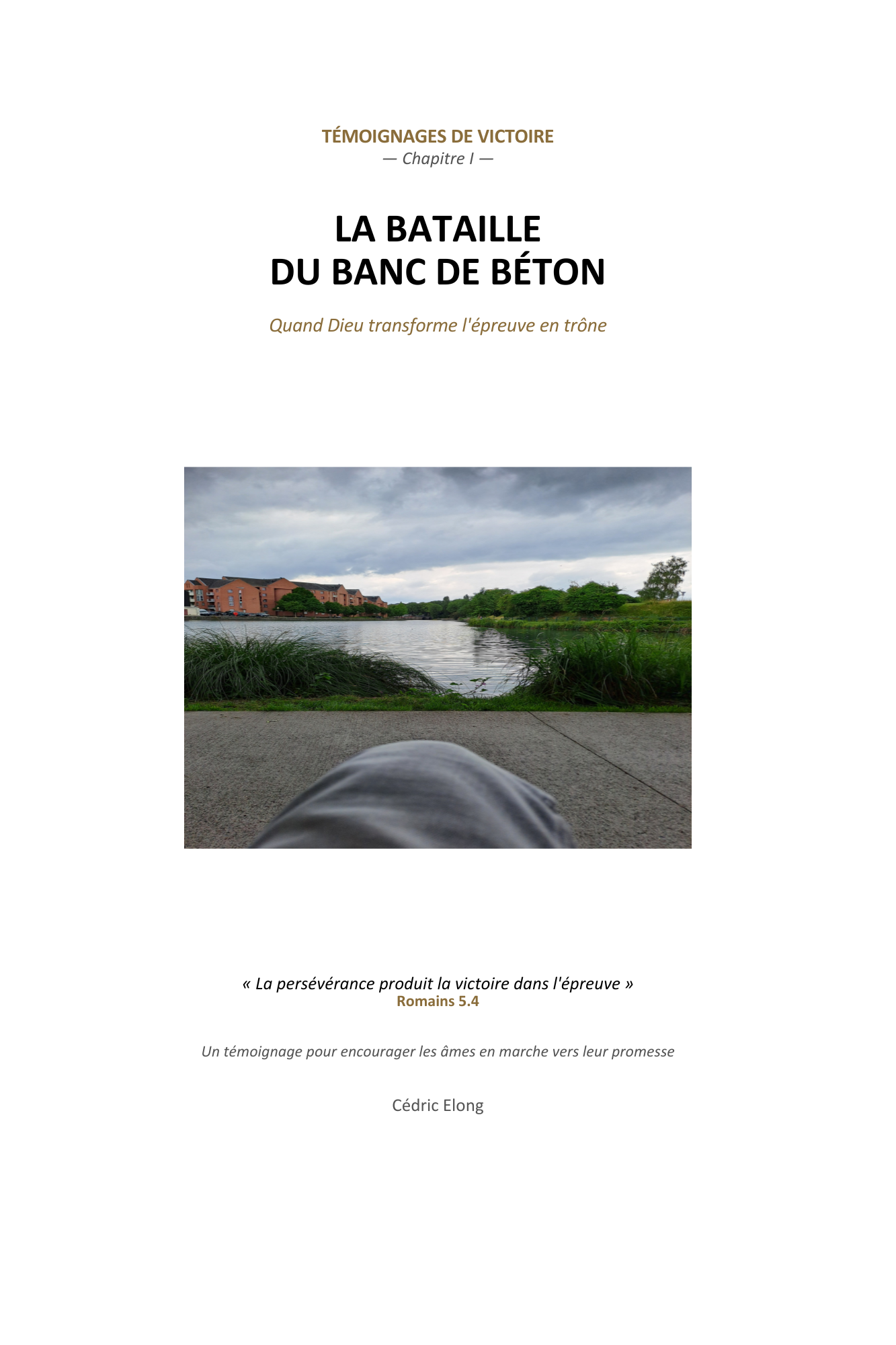 Aperçu de LA BATAILLE DU BANC DE BÉTON: Quand Dieu transforme l'épreuve en trône.